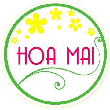 Miếng Dán Kích Mí Jary 120 Miếng - Size 0